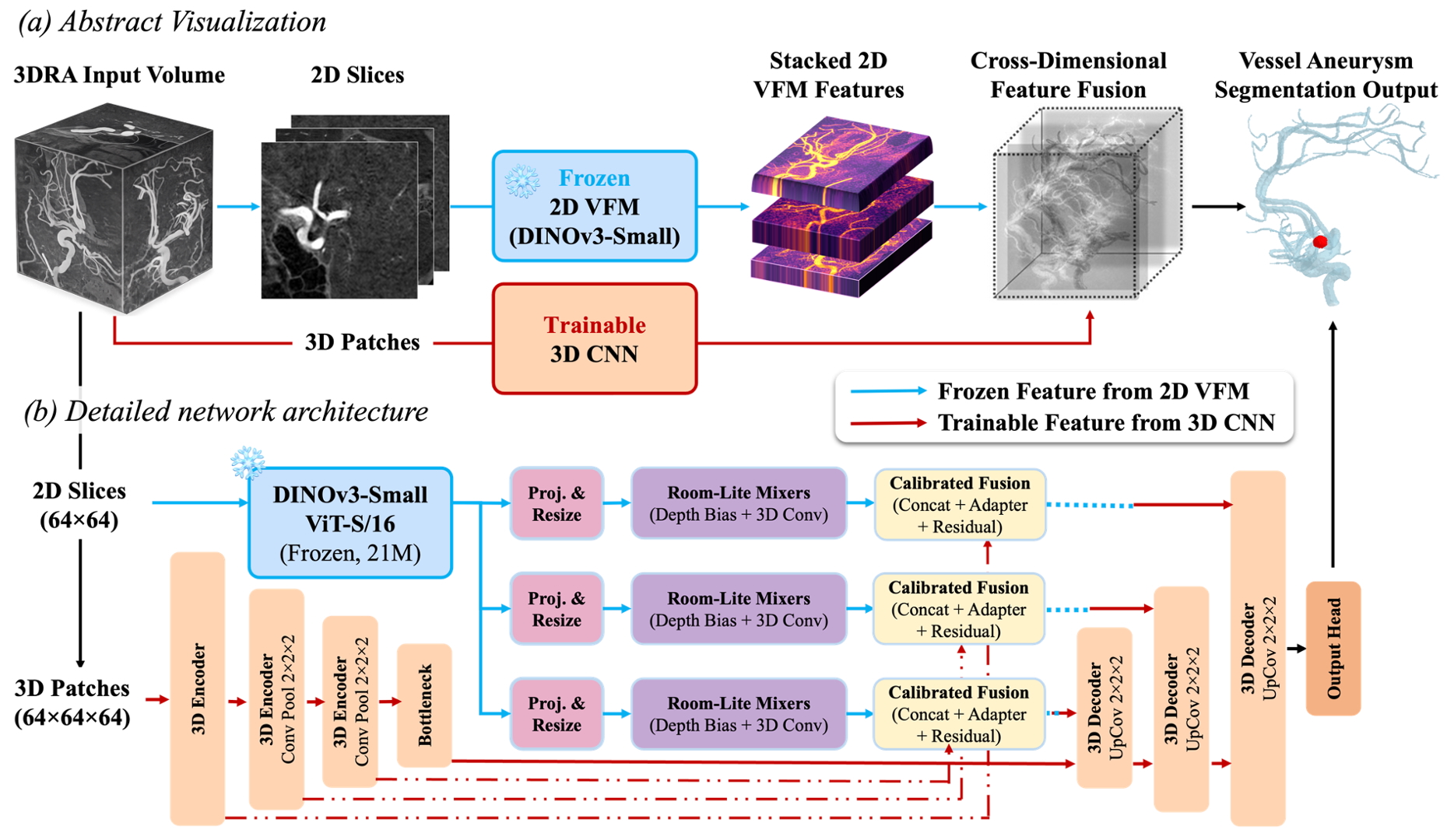 DINO-3DRA framework: frozen 2D foundation model features fused with a trainable 3D segmentation network