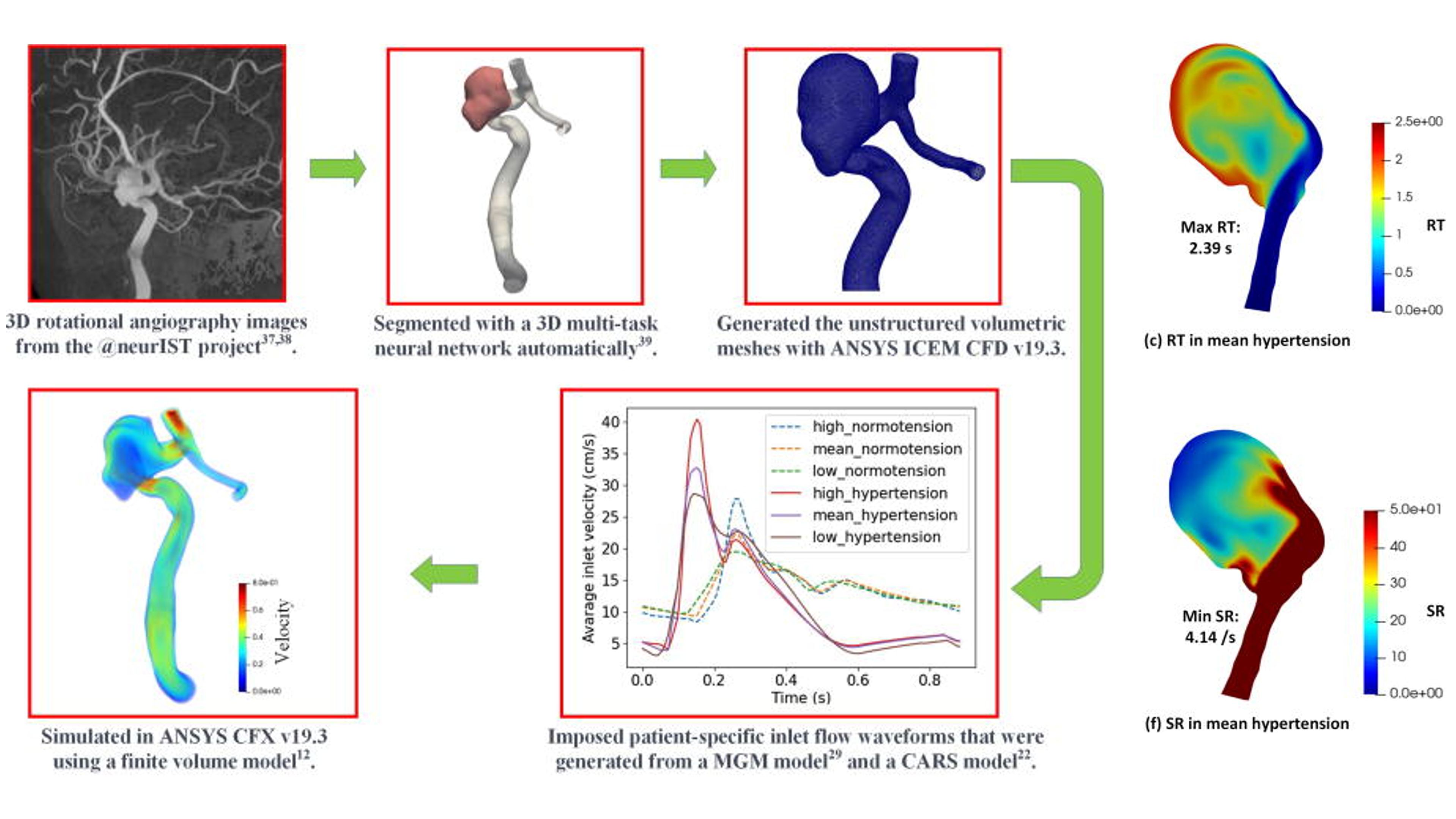 liu2023hemodynamics.png